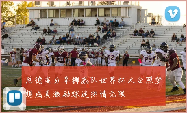厄德高分享挪威队世界杯大合照梦想成真激励球迷热情无限
