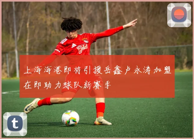 上海海港即将引援岳鑫卢永涛加盟在即助力球队新赛季