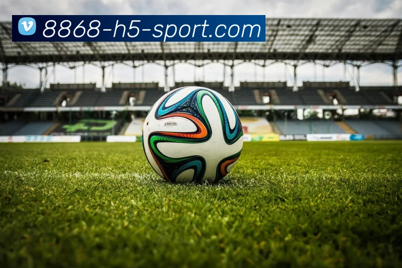 App Interface Preview